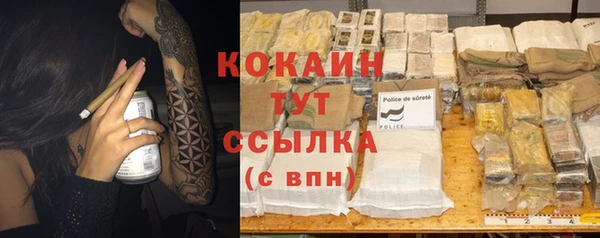 кокс Алексин