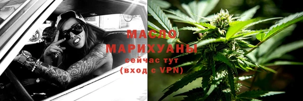 ECSTASY Алзамай