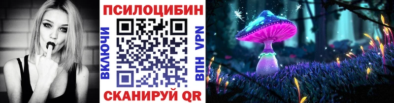 МЕГА ONION  Яхрома  Псилоцибиновые грибы Cubensis 